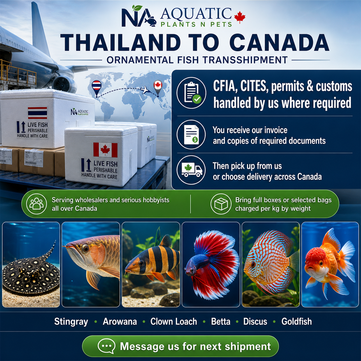 Thailand-to-Canada ornamental fish transshipment service graphic